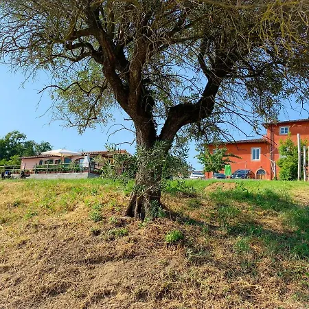 Villino Al Dotto